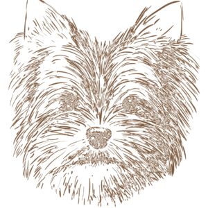 Logo de Presentes Meg