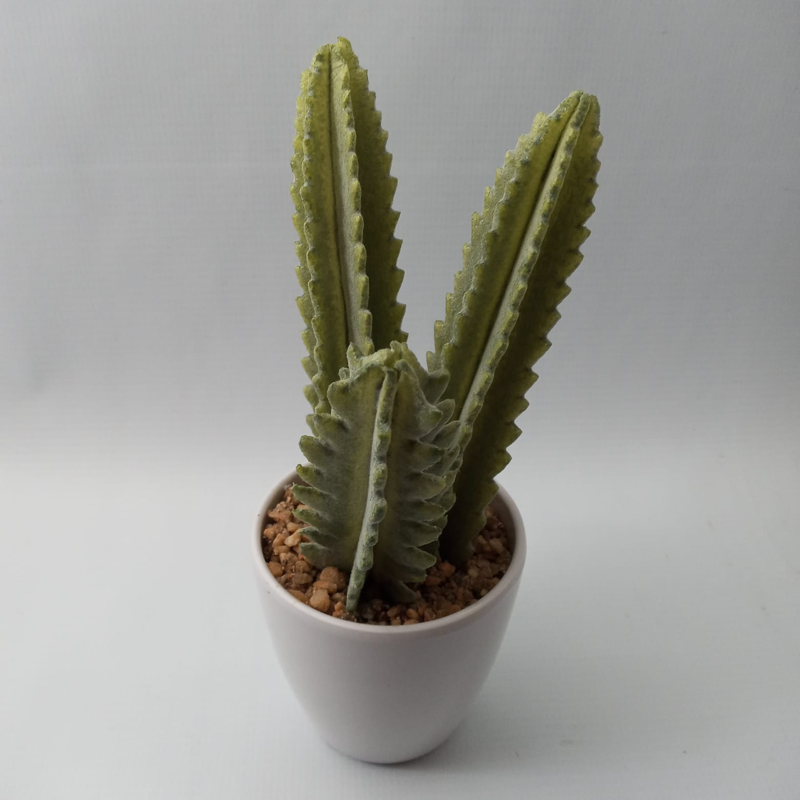 Mini cacto artificial
