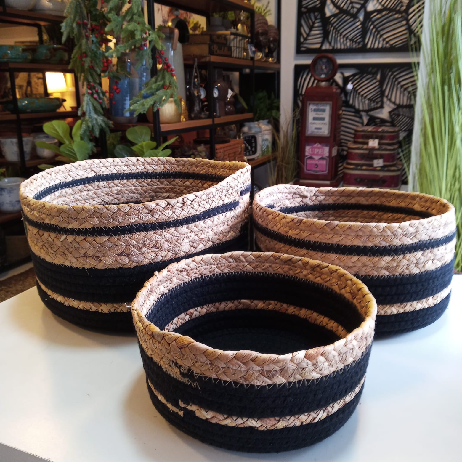 Conjunto de Cestos