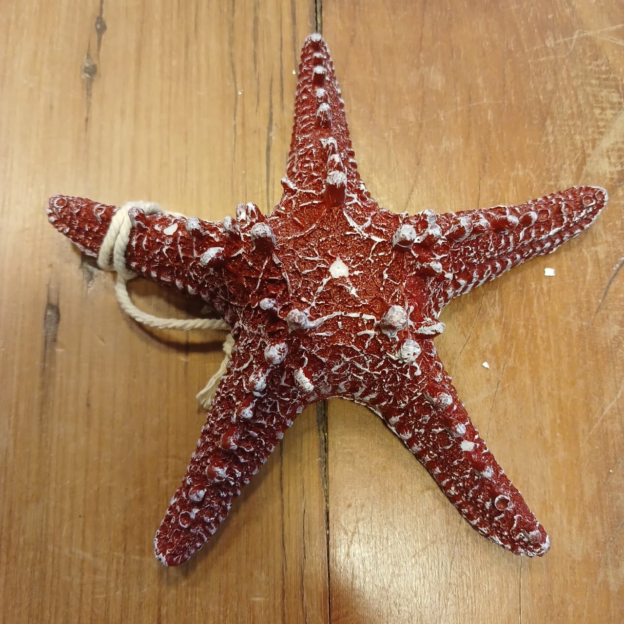 Estrela do Mar resinada branca 16 cm