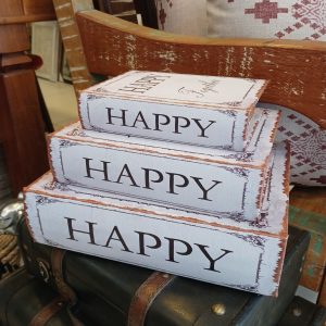 Caixa livros decorativos Happy
